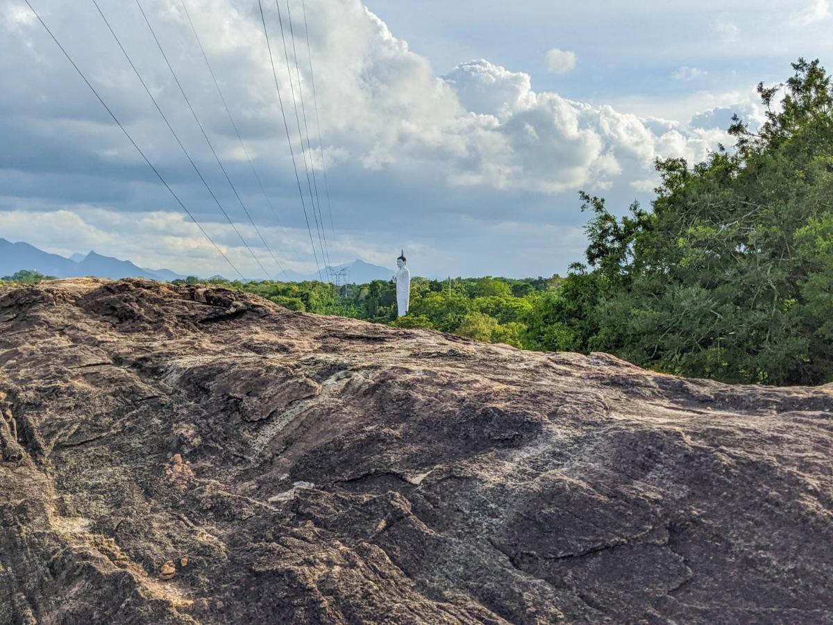 Sigiri Choona Lodge  Sigiriya Buitenkant foto